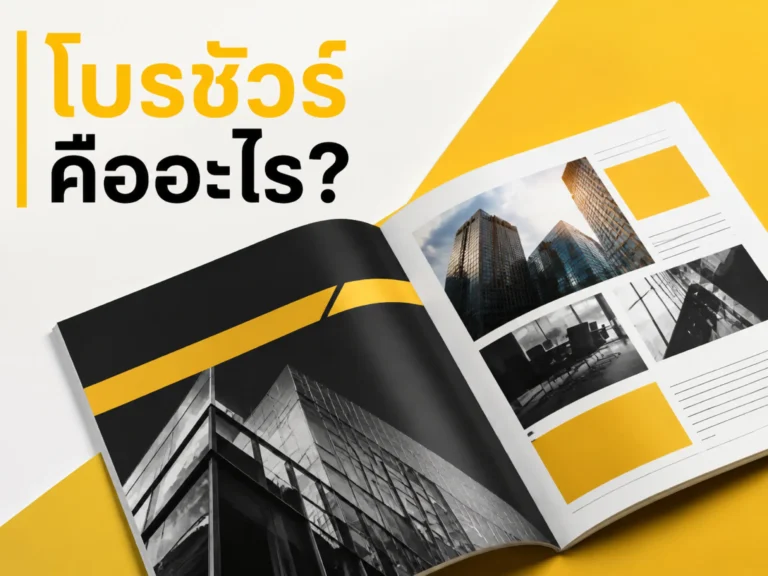 12503 20260812 what is a brochure (Horizontal)