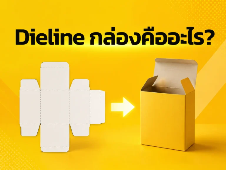 19148 20260812 what is a box dieline (Horizontal)